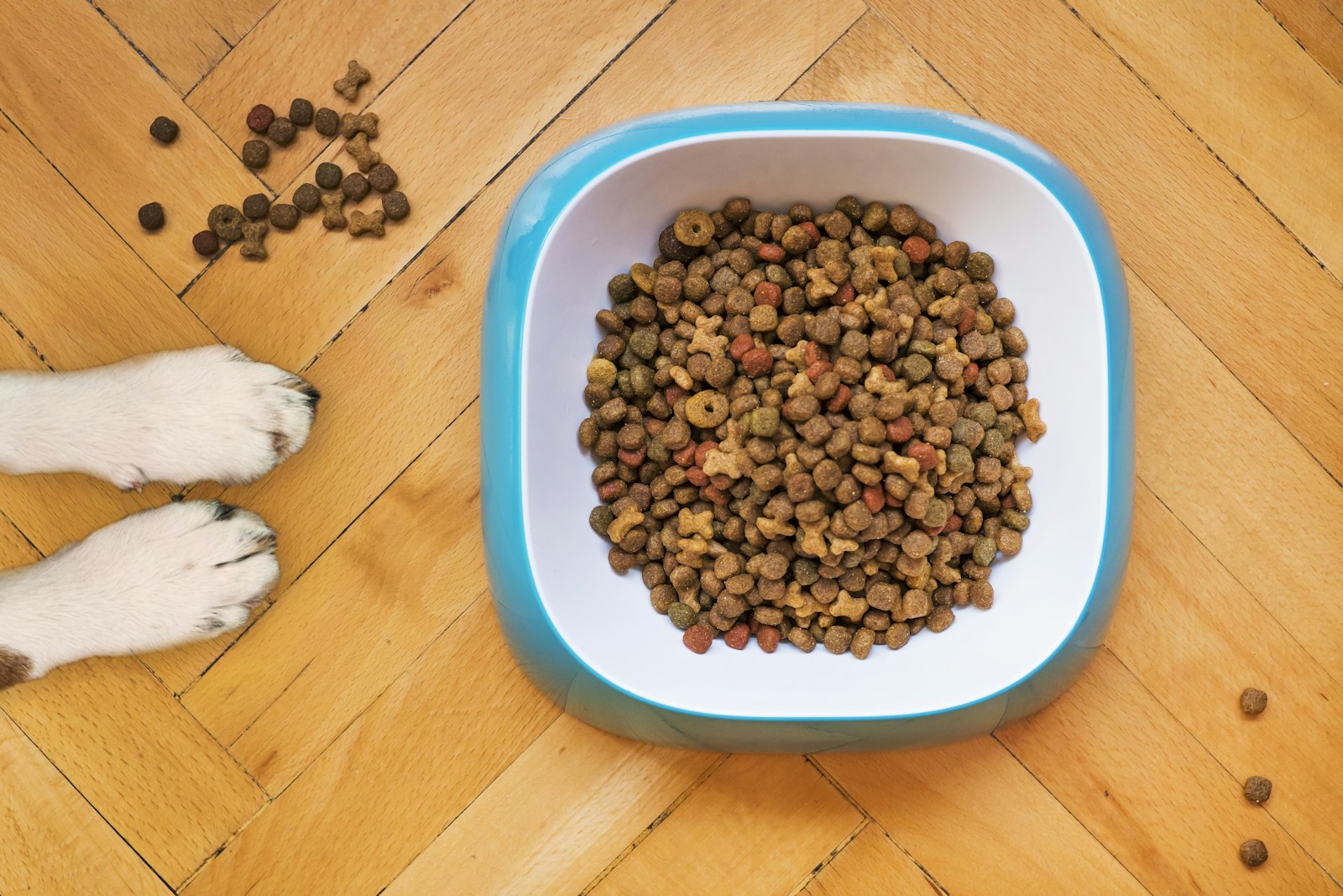 Seasonal nutrition: what changes in winter