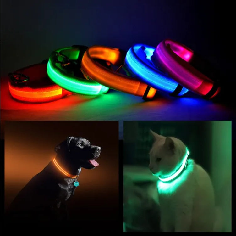 LED Pet Safety Halo Collar