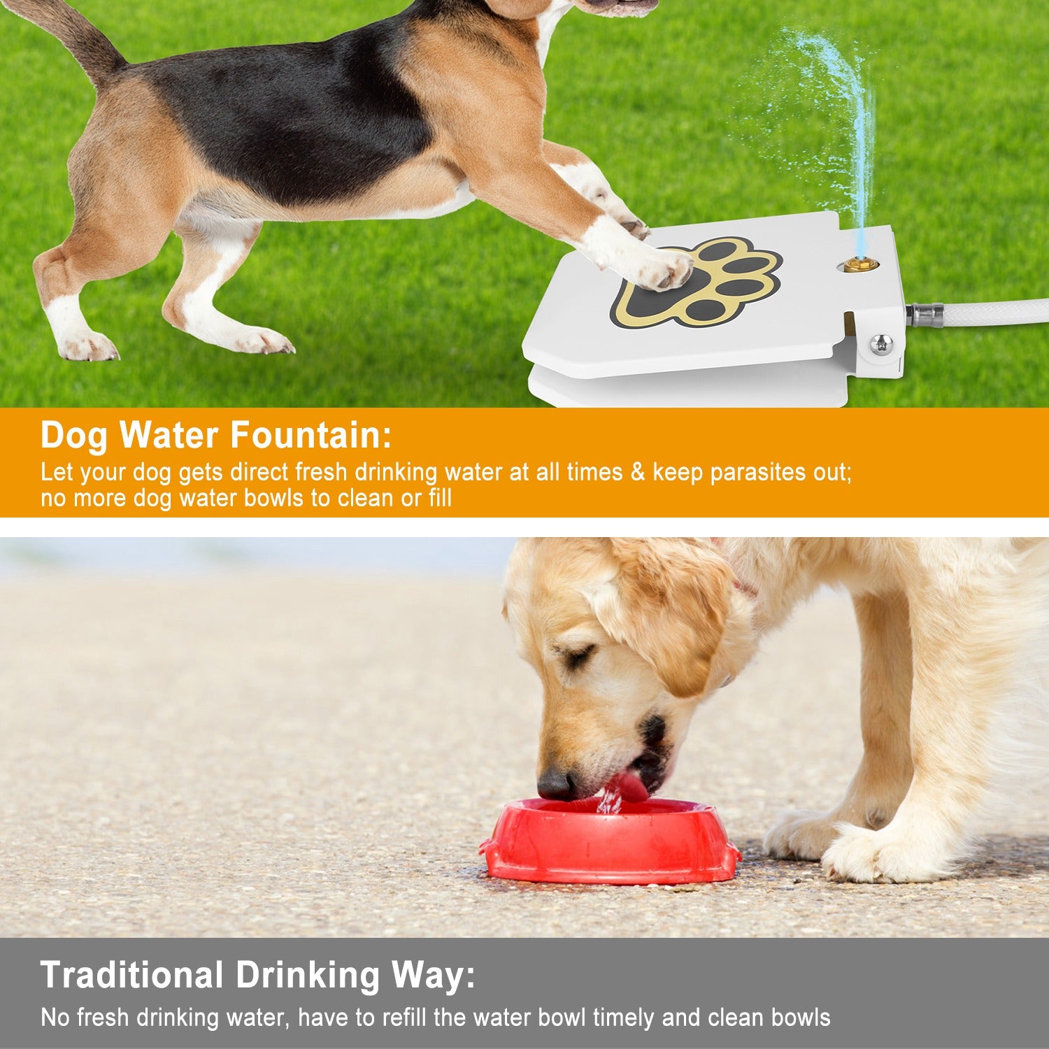 tep-On Dog Water Fountain