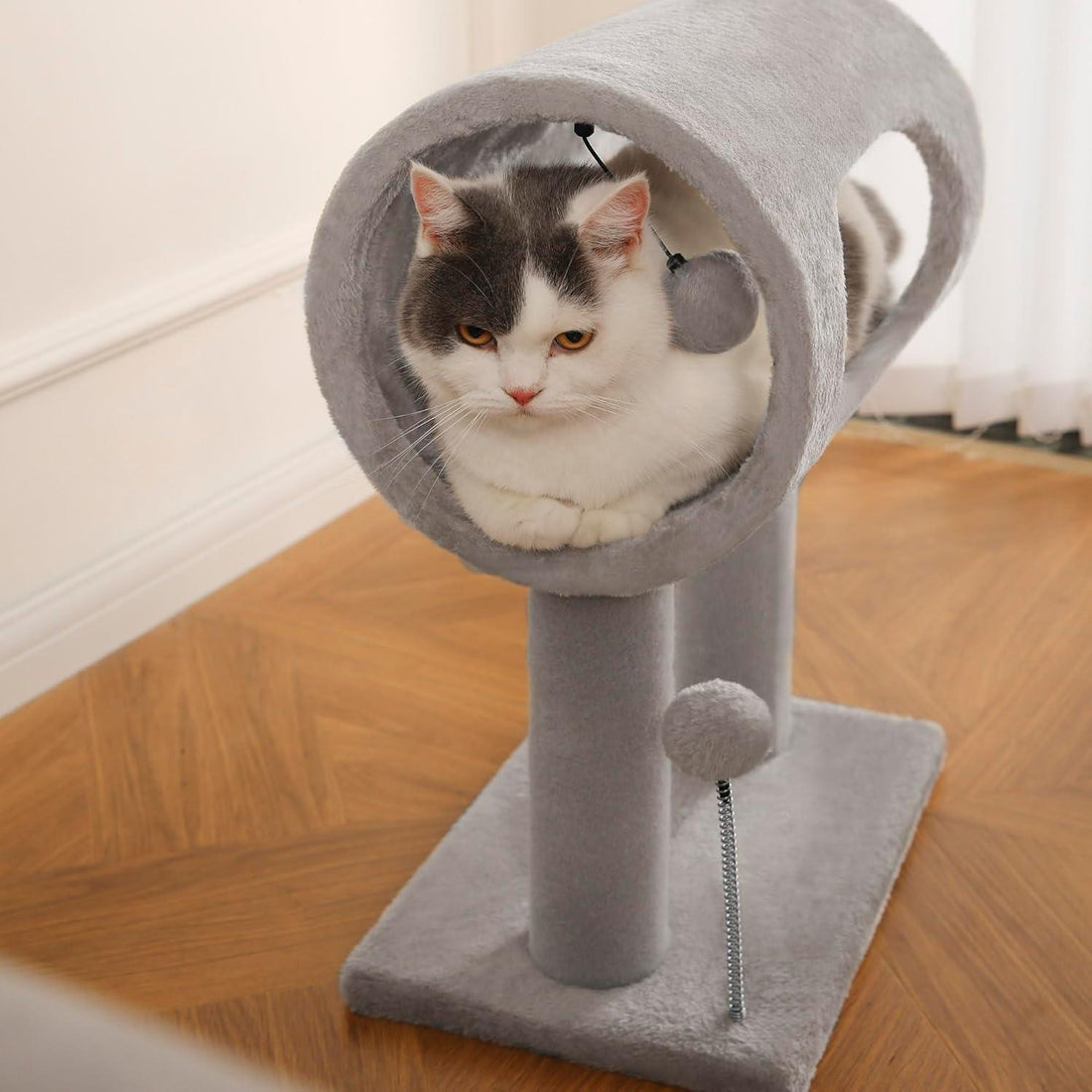 Indoor Cat Tree Tunnel Bed