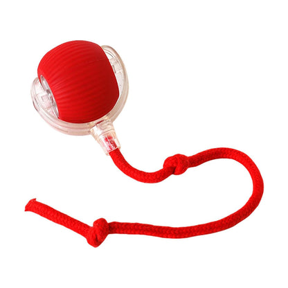 Motion-Activated Interactive Rolling Cat Ball