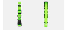 Adjustable Nylon Pet Collar