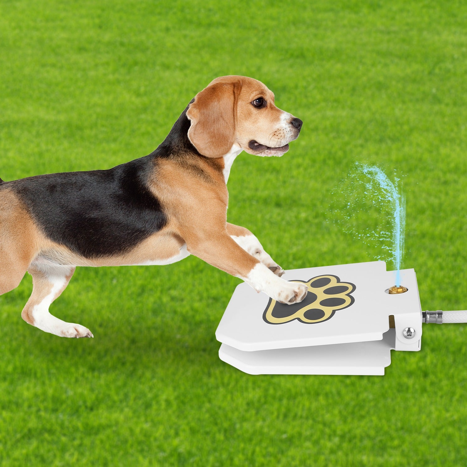 tep-On Dog Water Fountain