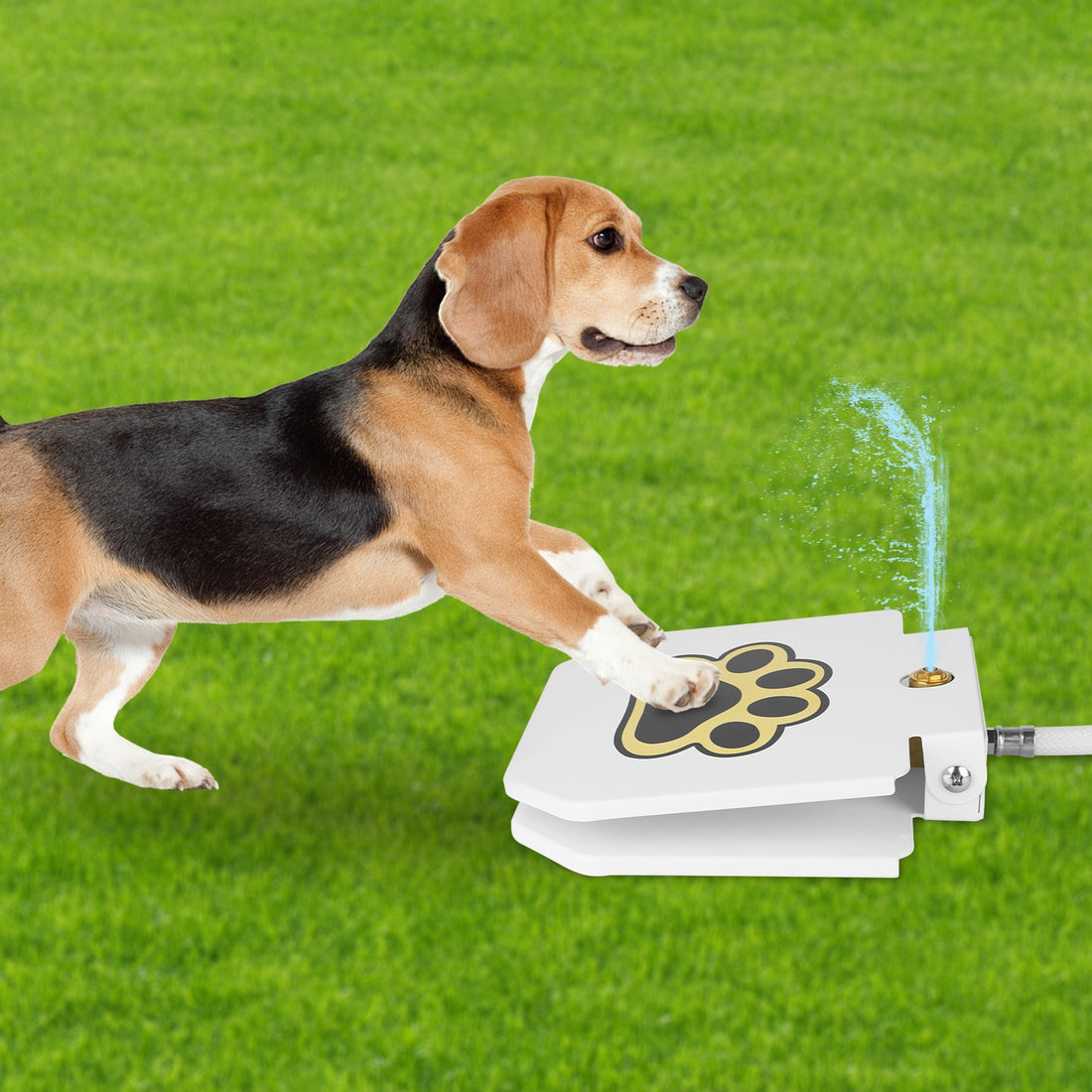 tep-On Dog Water Fountain