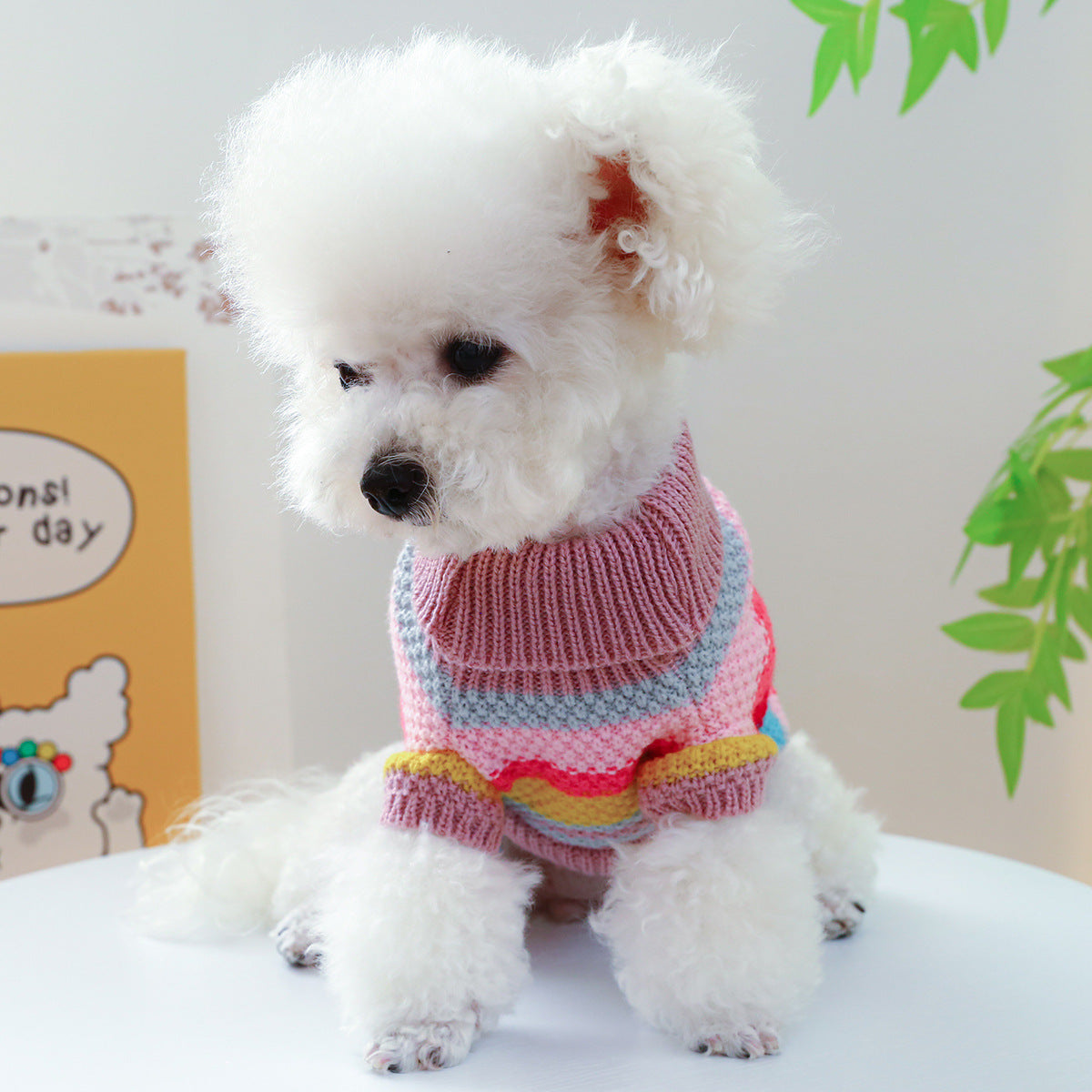 Rainbow Colorful Stripes Pet Sweater