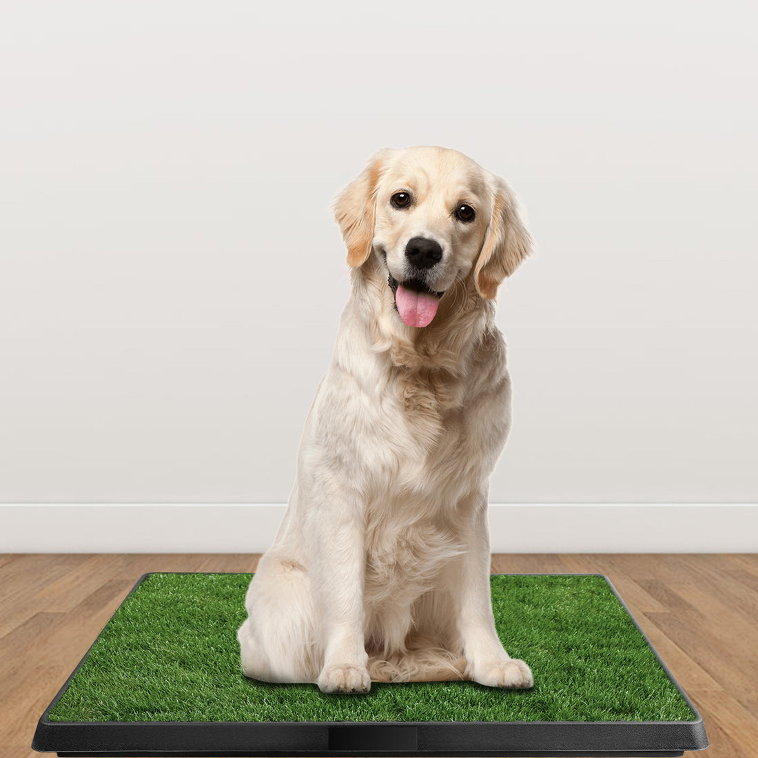 Dog Potty Training Artificial Grass Pad