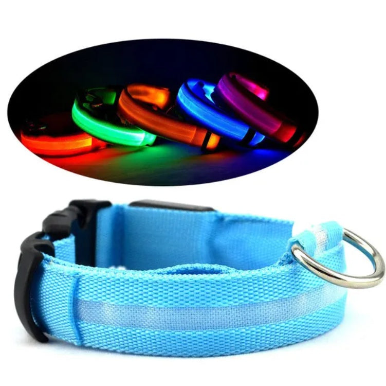 LED Pet Safety Halo Collar