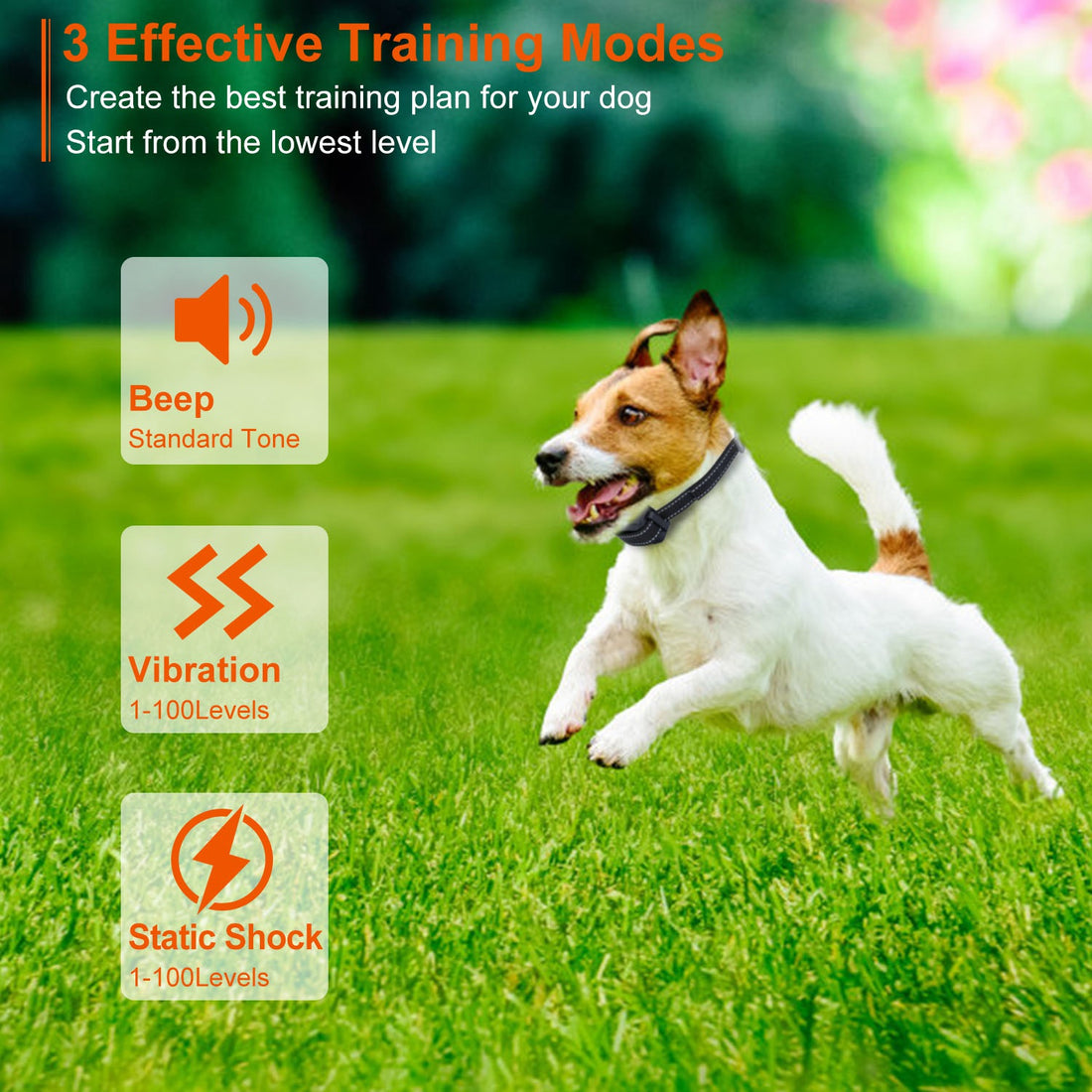 IP67 Waterproof Receiver & 3-Mode Dog Trainer