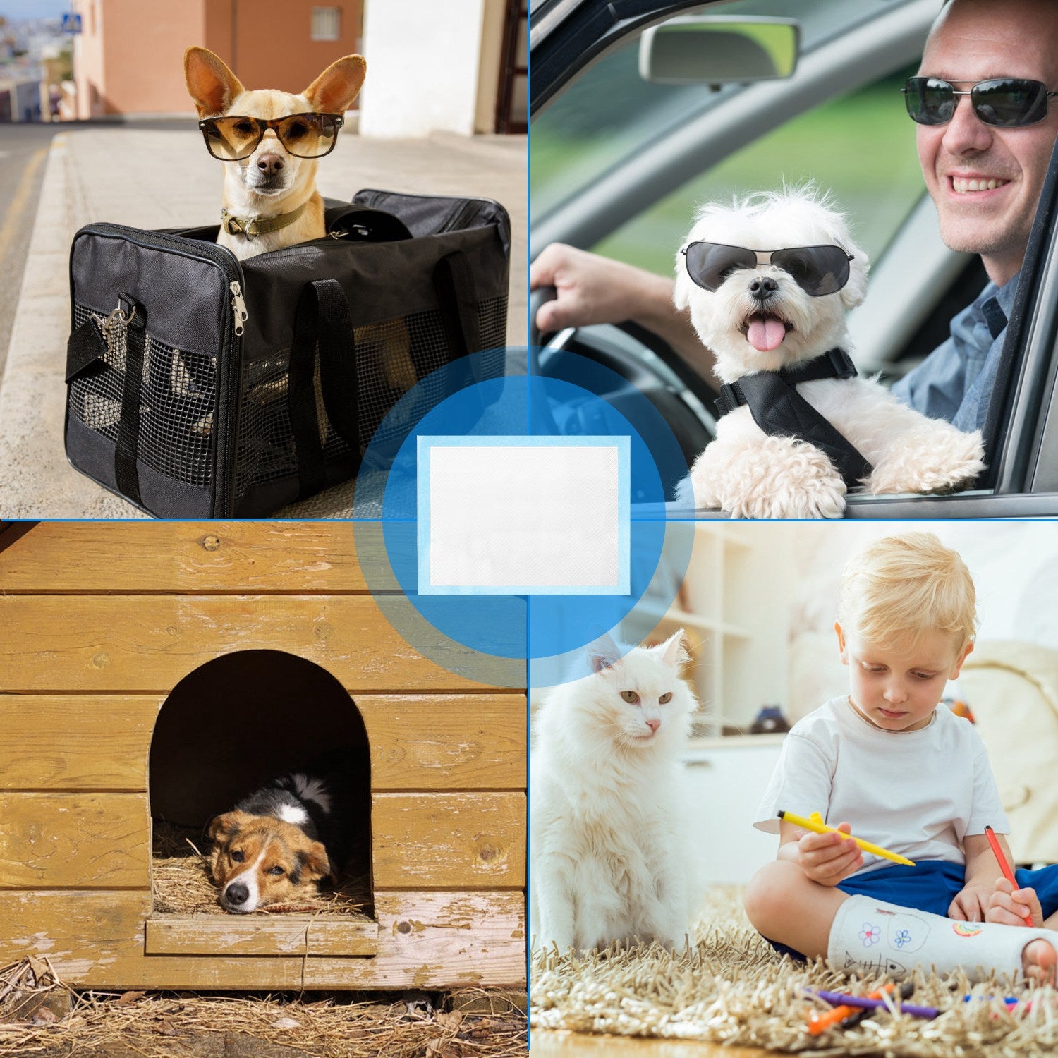 50Pcs Dog and Cat Training Pads