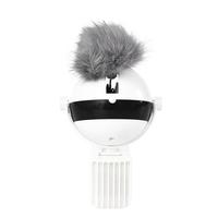 Interactive Self-Play Cat Toy