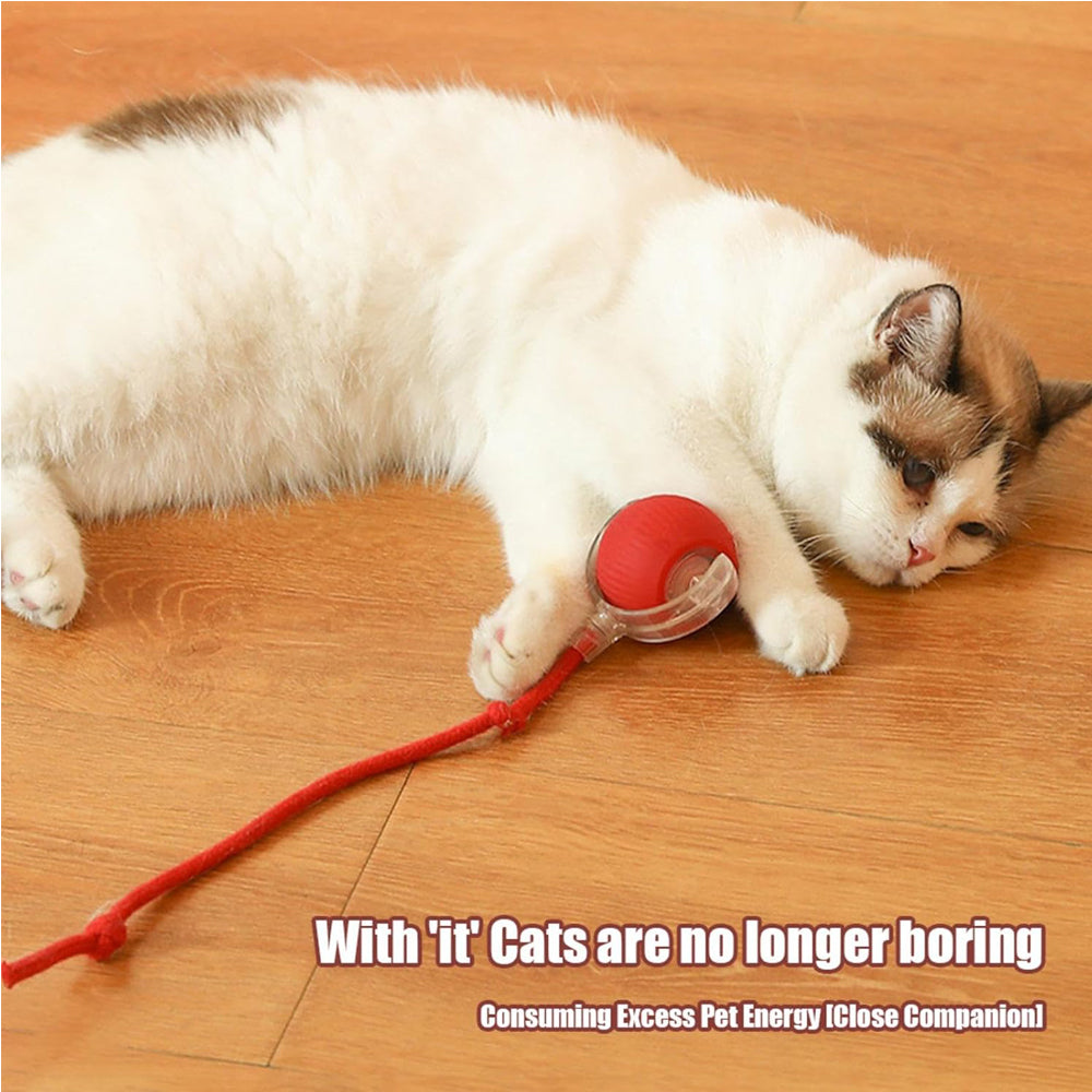 Motion-Activated Interactive Rolling Cat Ball