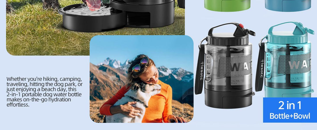 Portable Pull-Out Water Bowl for Dogs