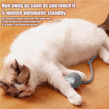 Motion-Activated Interactive Rolling Cat Ball