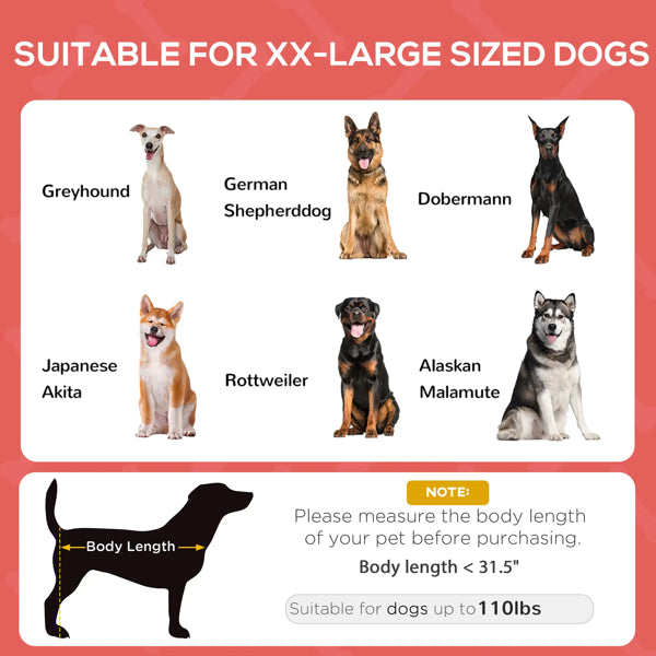 Elevated Dog Bed with Canopy