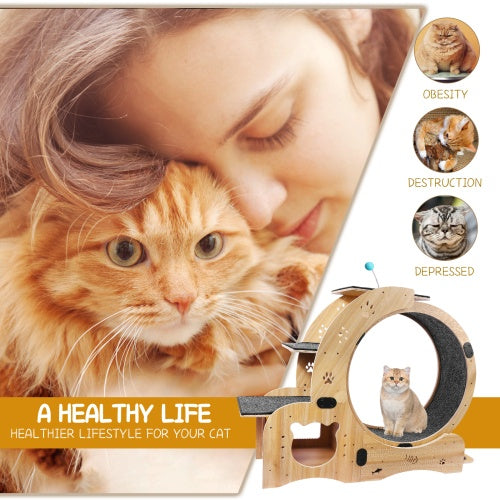 6-in-1 Wooden Cat Exercise Wheel