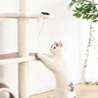 Interactive Self-Play Cat Toy