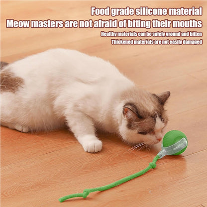 Motion-Activated Interactive Rolling Cat Ball