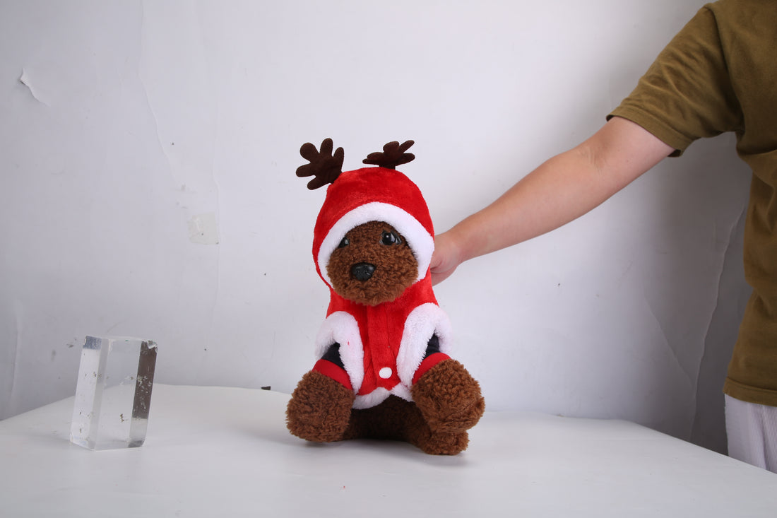 Christmas Clothes Santa Claus Pet Outfit