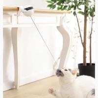 Interactive Self-Play Cat Toy