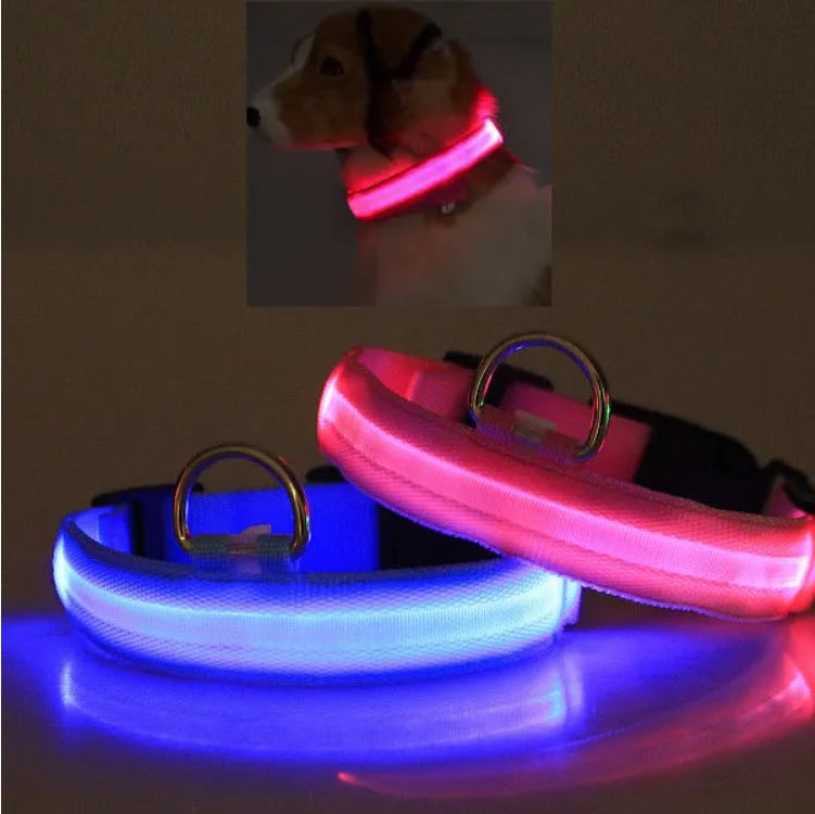 LED Pet Safety Halo Collar