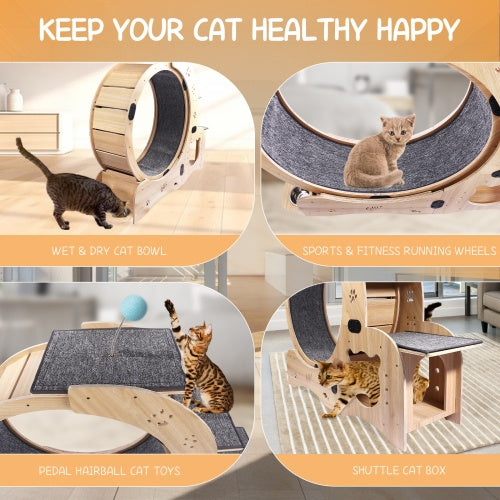 6-in-1 Wooden Cat Exercise Wheel