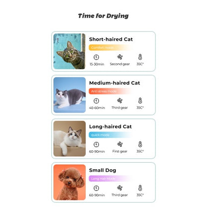 Automatic Pet Dryer Box