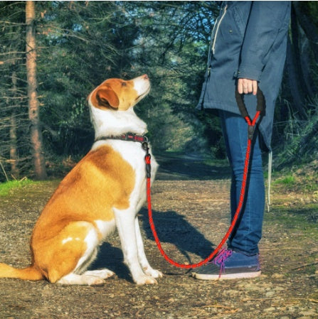 Heavy Duty Reflective Dog Leash Nylon
