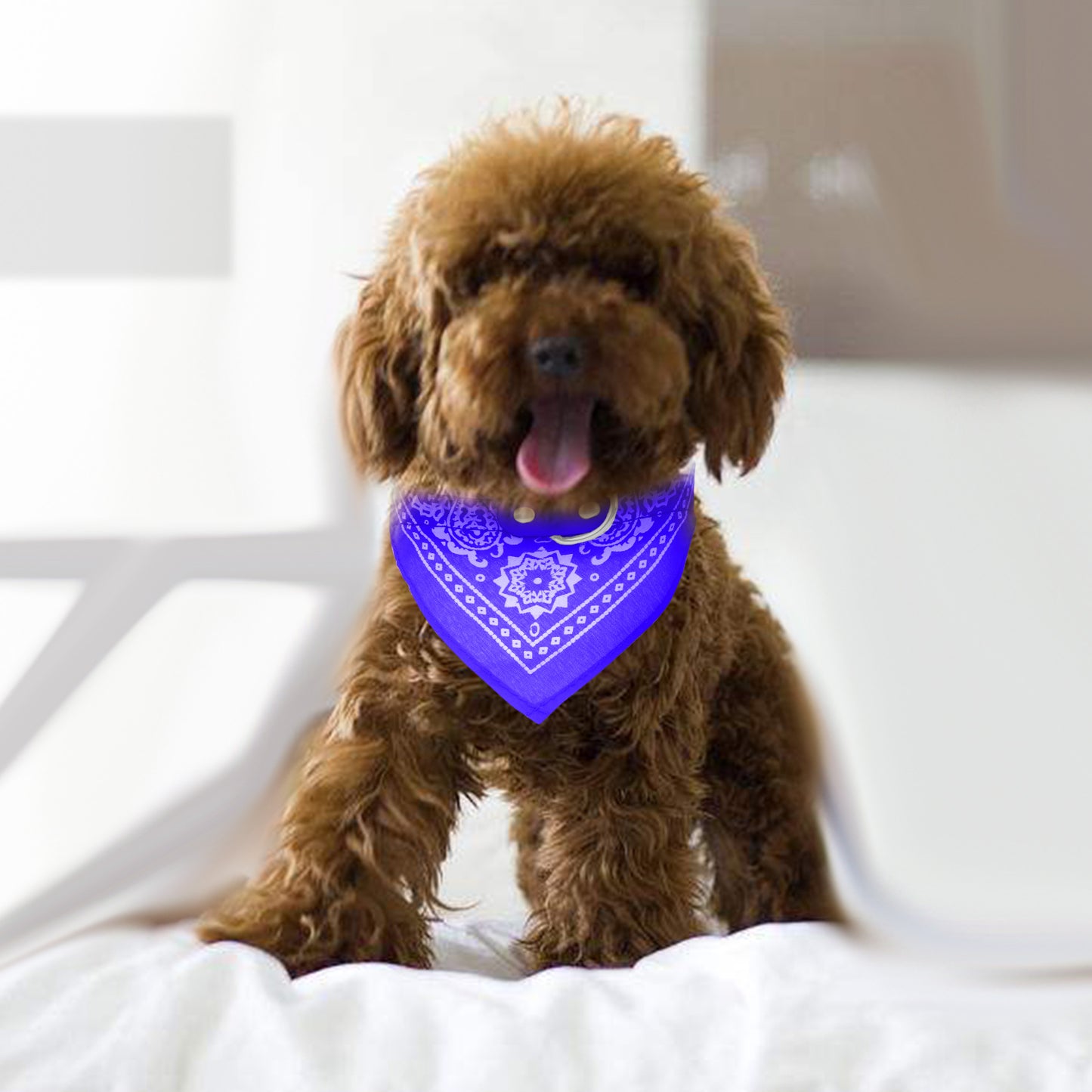 Adjustable Bandana Leather Pet Collar