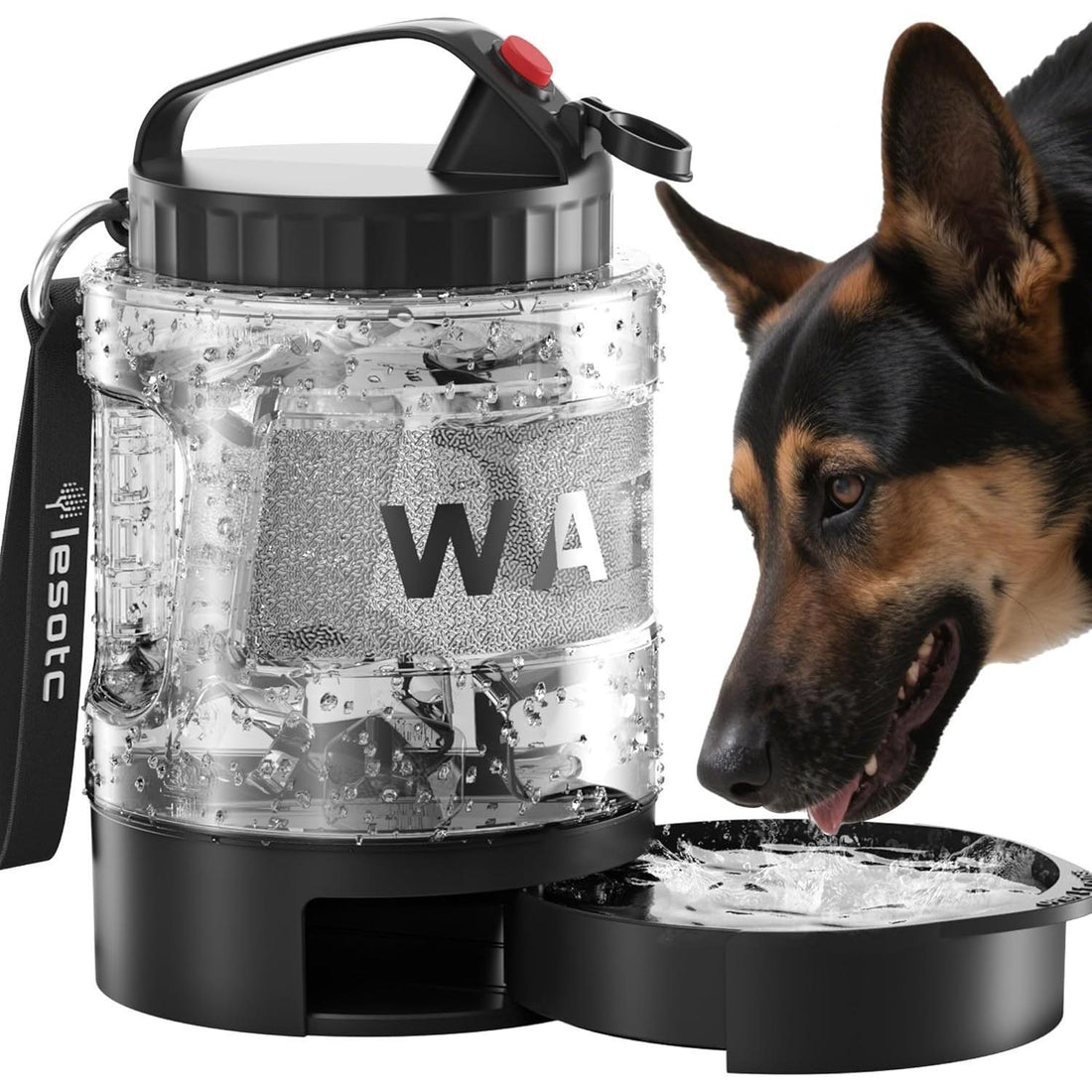 Portable Pull-Out Water Bowl for Dogs