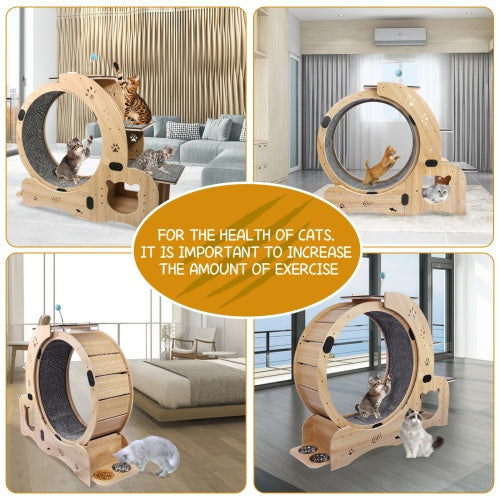 6-in-1 Wooden Cat Exercise Wheel