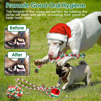 5Pcs Christmas Dog Rope Chew Toys