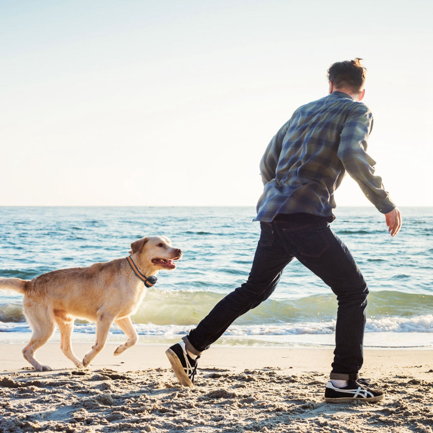 2-in-1 GPS Wireless Dog Fence Collar