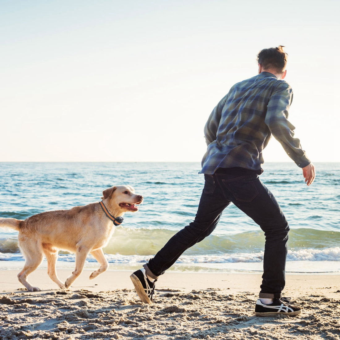 2-in-1 GPS Wireless Dog Fence Collar