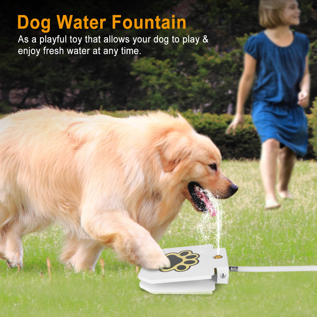 tep-On Dog Water Fountain