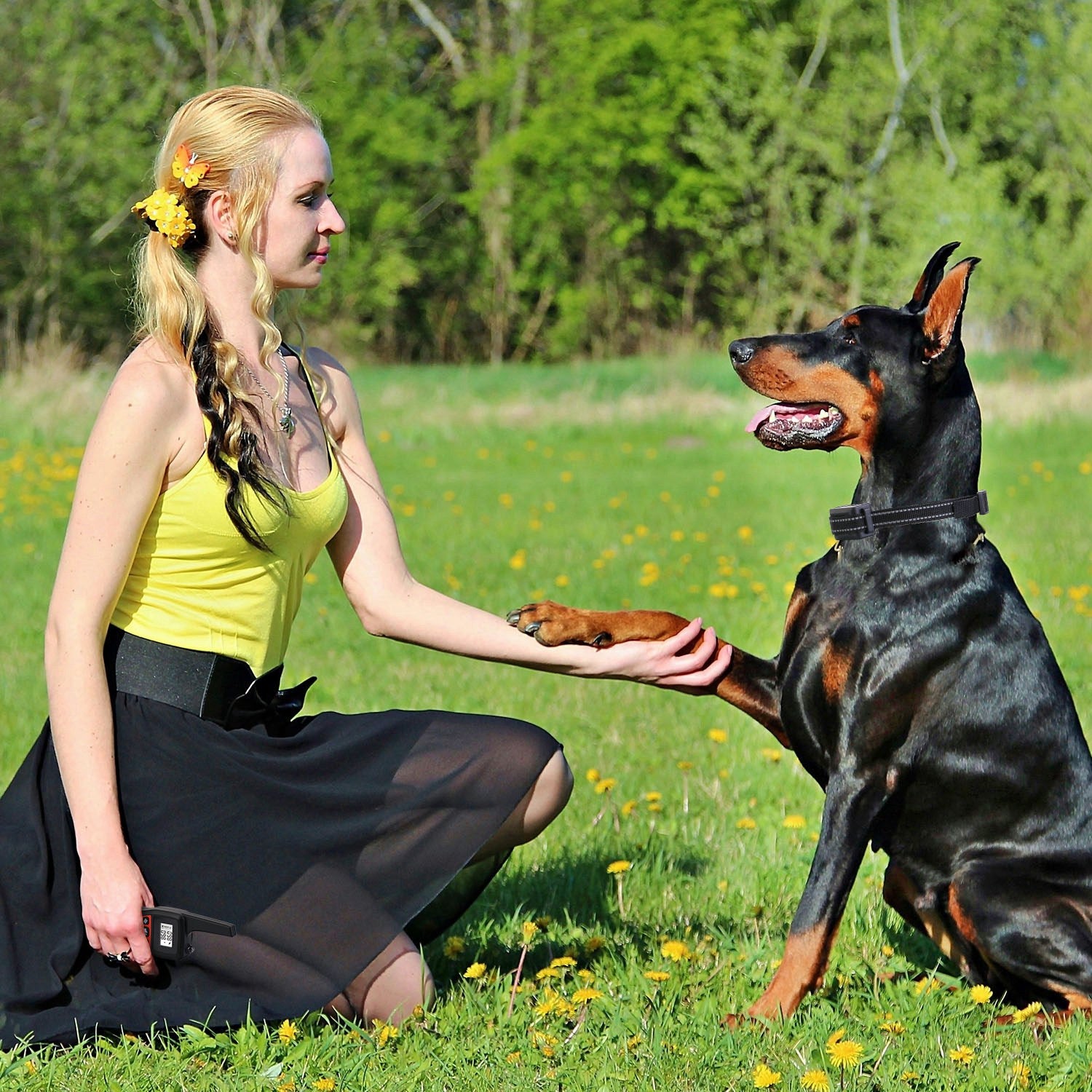 IP67 Waterproof Receiver & 3-Mode Dog Trainer