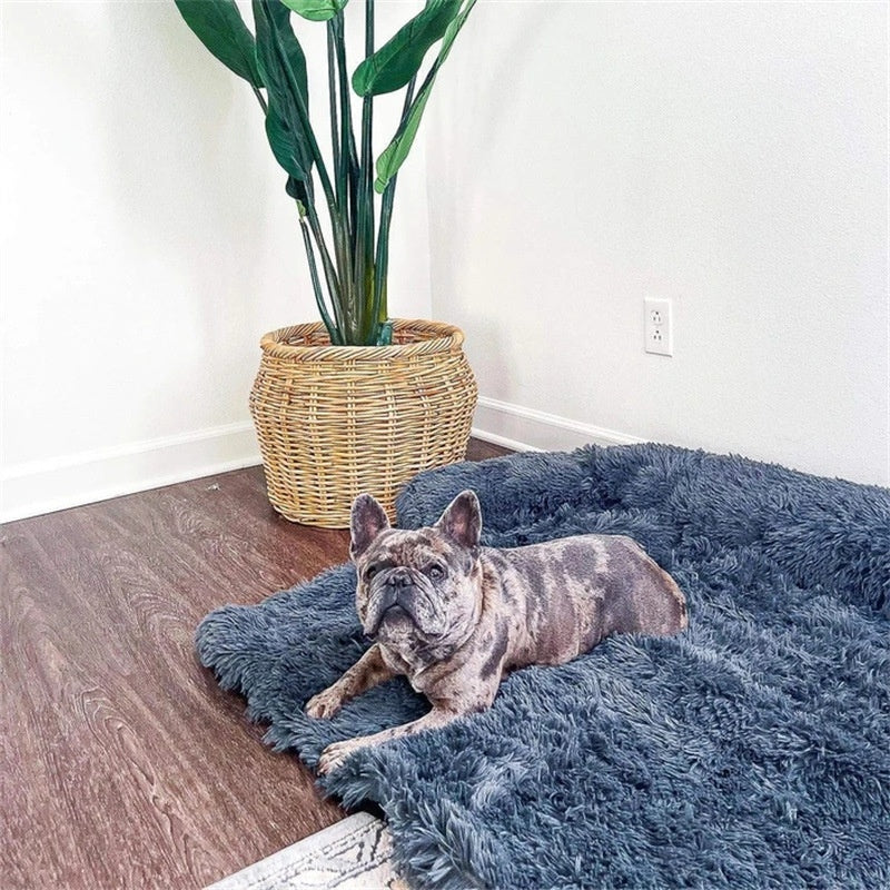 Washable Pet Sofa Dog Bed