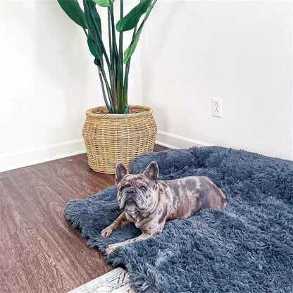 Washable Pet Sofa Dog Bed