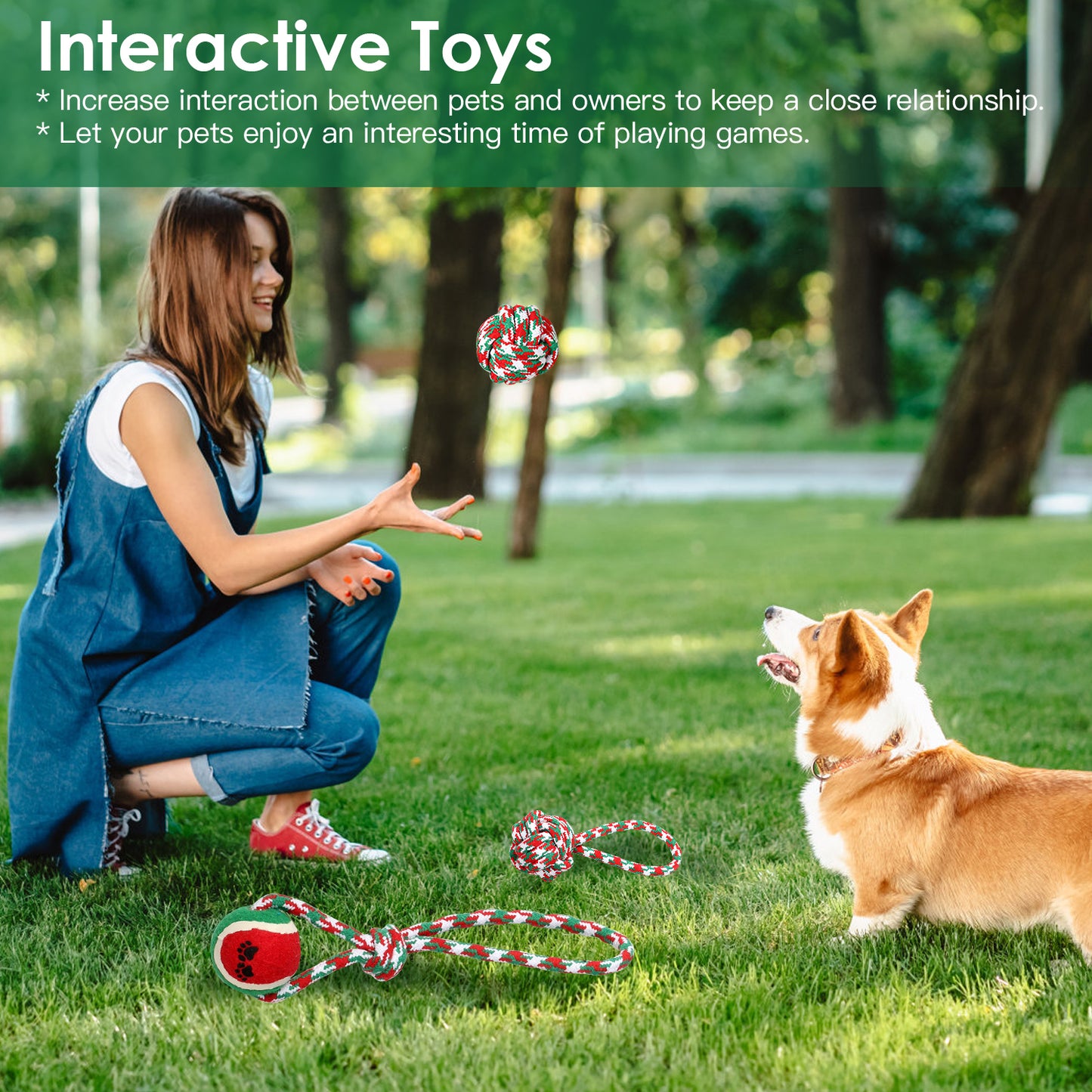 5Pcs Christmas Dog Rope Chew Toys