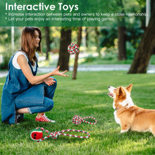5Pcs Christmas Dog Rope Chew Toys