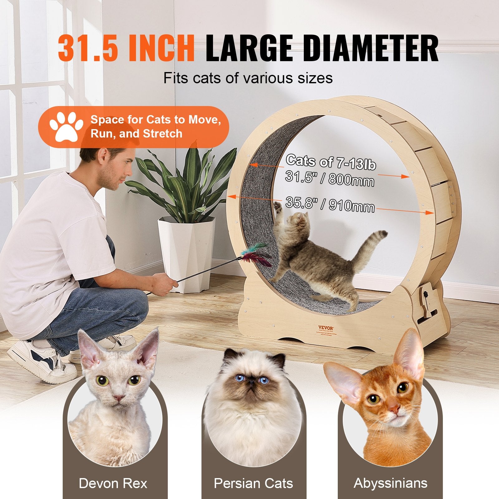 Exercise Treadmill Wheel for Indoor Cat