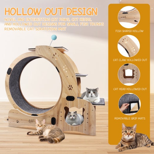 6-in-1 Wooden Cat Exercise Wheel