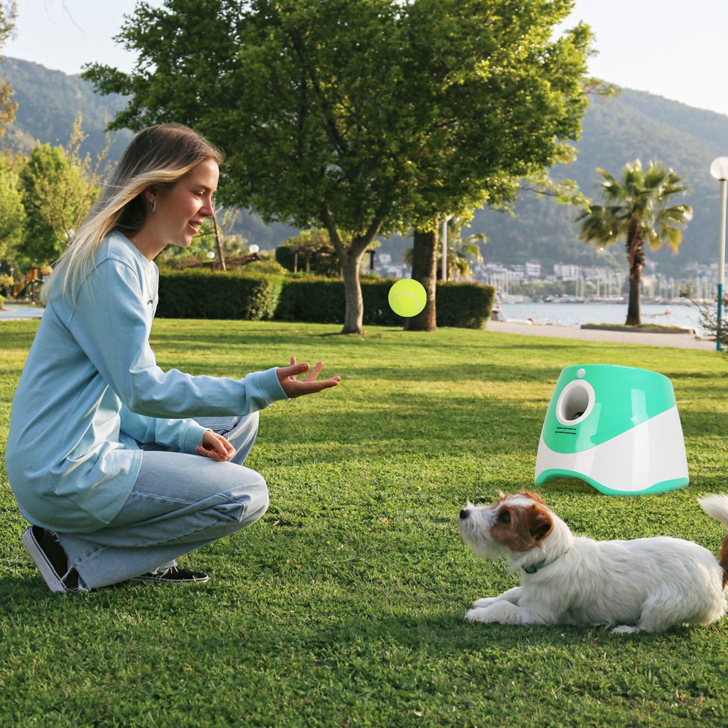 Automatic Dog Ball Launcher + 6 Tennis Balls