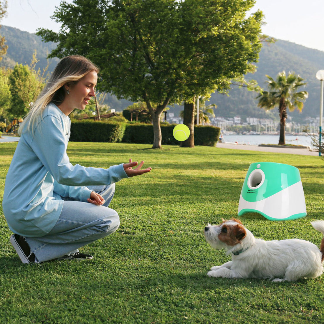 Automatic Dog Ball Launcher + 6 Tennis Balls