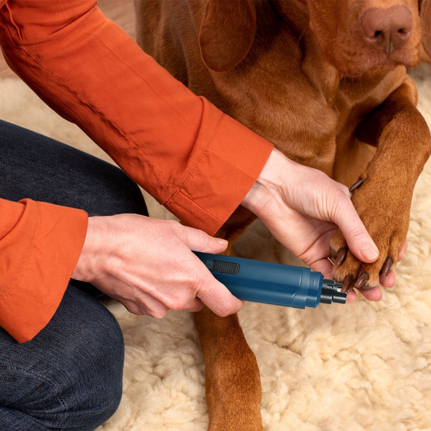 2 Speeds Cordless Dog Nail Grinder