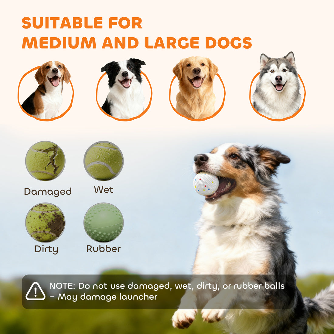 Automatic Dog Ball Launcher 26-79 FT