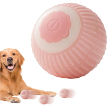 Electric Motion Rolling Cat Ball