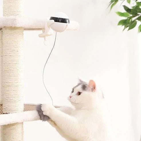 Interactive Self-Play Cat Toy