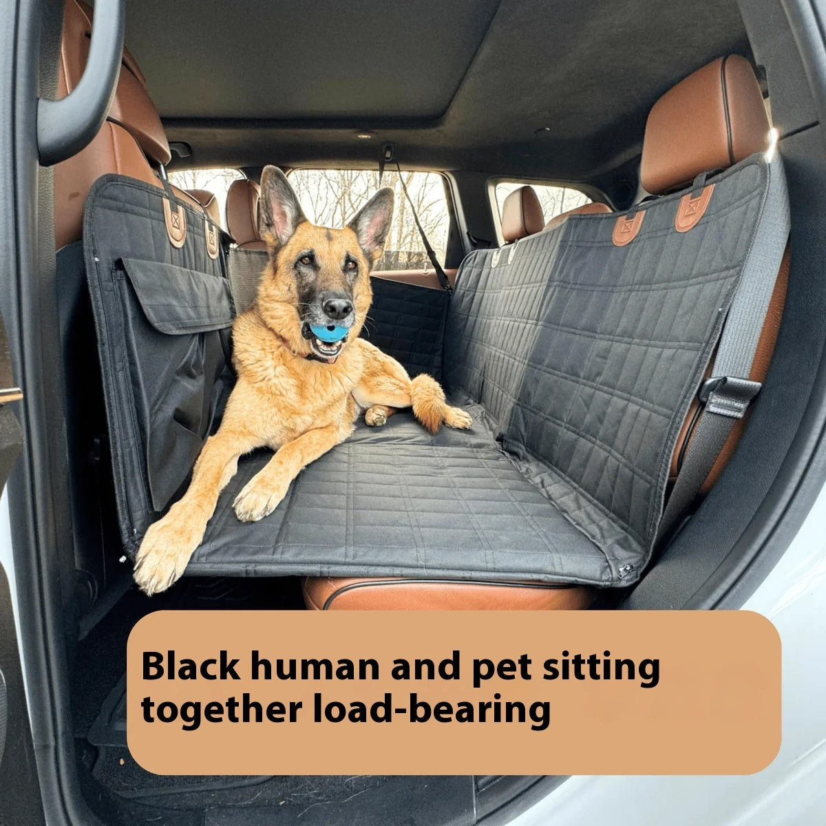 Waterproof Rear Seat Dog Car Seat Cover