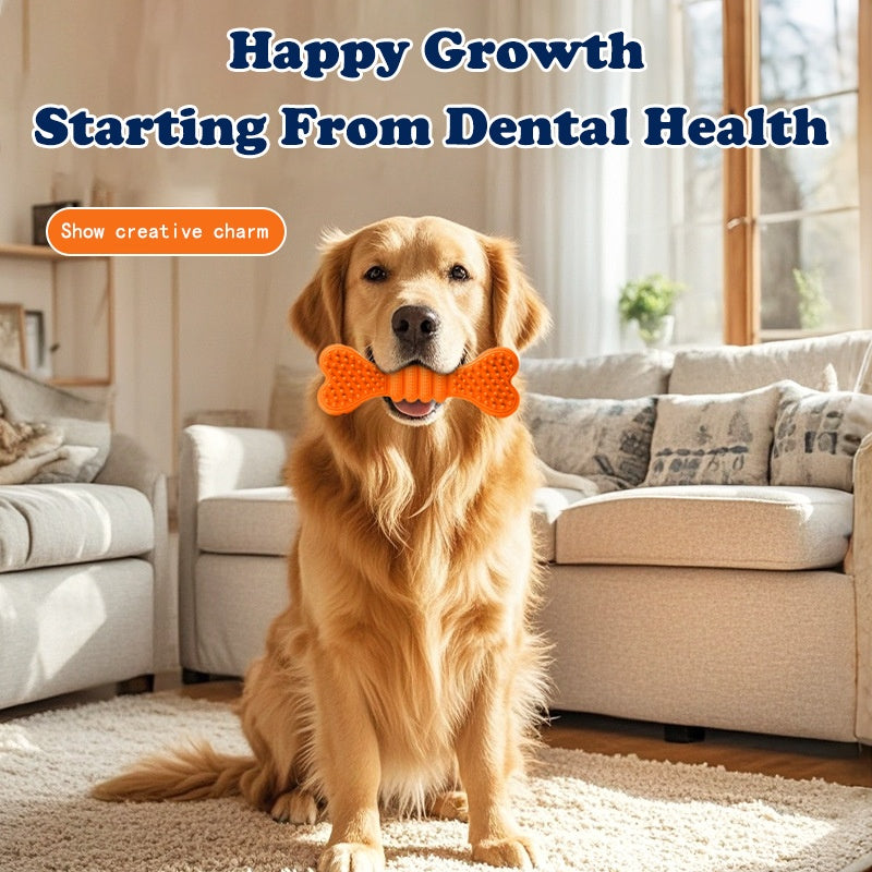 Rubber Dental Chew Toy for Dogs