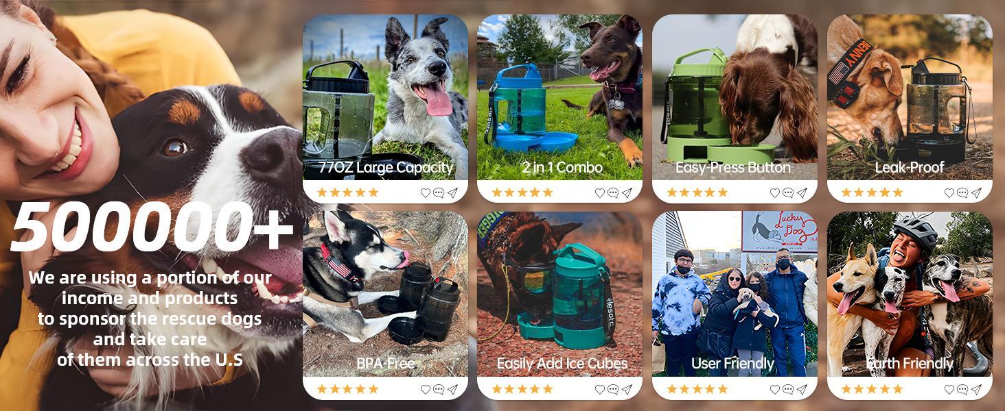 Portable Pull-Out Water Bowl for Dogs